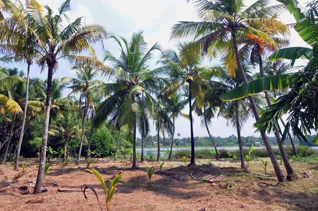 Lake County Heritage Home Kochi Exterior foto